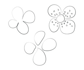flower with petal and dots hand drawn sketch