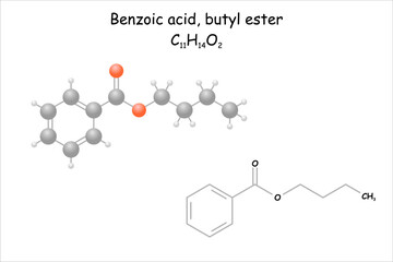 Stylized 2D molecule model/structural formula of benzoic acid, butyl ester.
