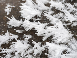 Ice and snow crystals grown on the surface of the stone after a hard frost