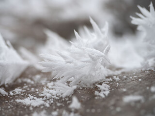Ice and snow crystals grown on the surface of the stone after a hard frost