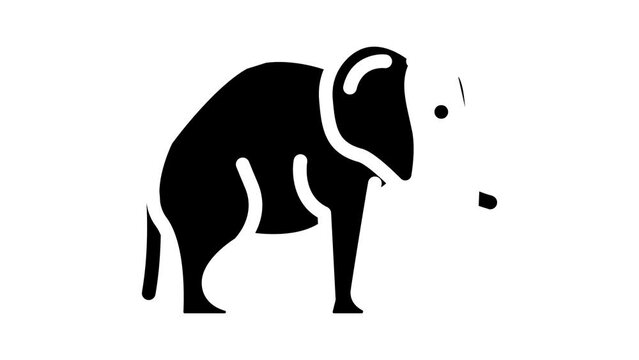 elephant animal glyph icon animation