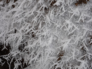Ice and snow crystals grown on the surface of the stone after a hard frost