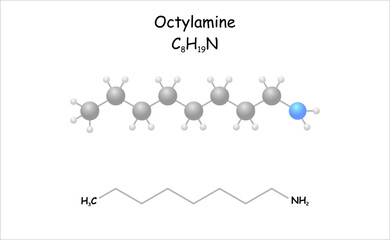 Stylized 2D molecule model/structural formula of octylamine.