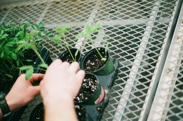 hand holding a chain