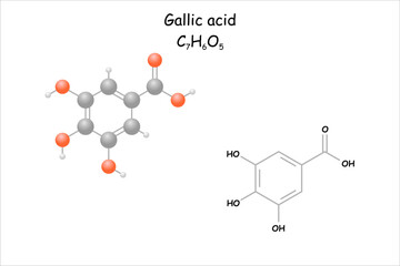 Stylized 2D molecule model/structural formula of gallic acid.