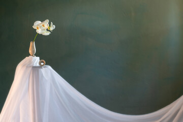 broken vase with white orchid on dark green wall
