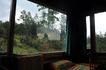 view from the window of a house to the forest