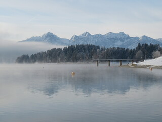 Frostiger Morgen am Forggensee