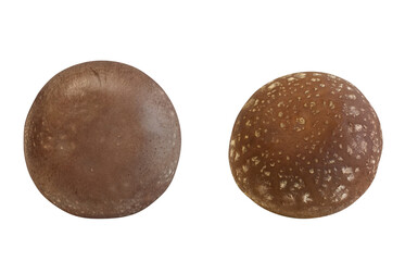 しいたけ 椎茸 イラスト リアル セット