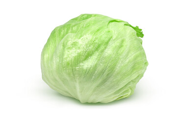 レタス イラスト リアル