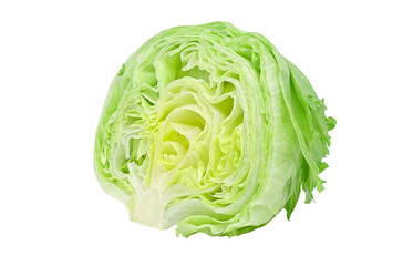 レタスのイラスト 断面 リアル