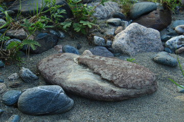 Blue, gray and pink smooth river stones, small and large, lie on the sand, green plants grow nearby, the bank of the Katun river in Altai, summer