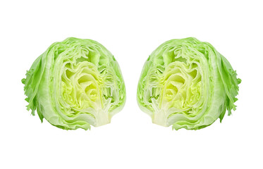 レタス イラスト リアル