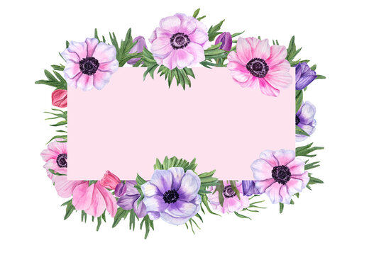 Horizontal frame with anemones isolated on white background. Watercolor floral illustration for Valentine day, wedding, birthday, mother day cards, invitation template