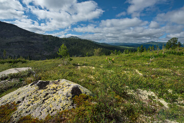 Russia. South of the Krasnoyarsk territory, Eastern Sayans. All the passes of the natural mountain...