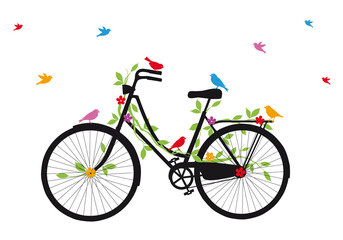 Fototapeta na wymiar Old, vintage bicycle with colorful birds and flowers, illustration over a transparent background, PNG image