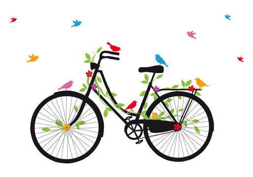 Old, vintage bicycle with colorful birds and flowers, illustration over a transparent background, PNG image