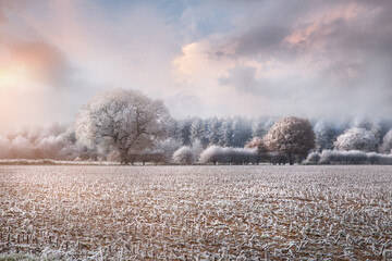 Frosty winter rural landscape at sunrise Norfolk