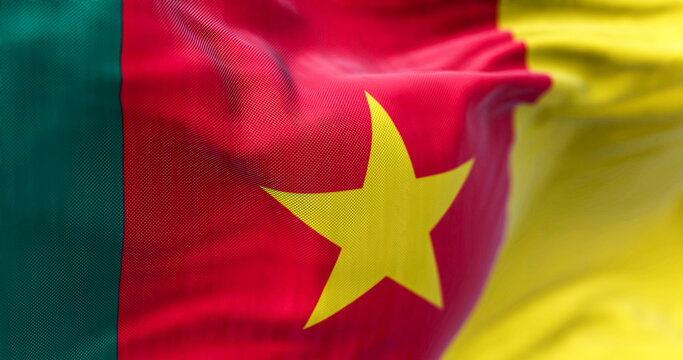 Close-up view of the Cameroon national flag waving in the wind