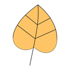 illustration of a leaf