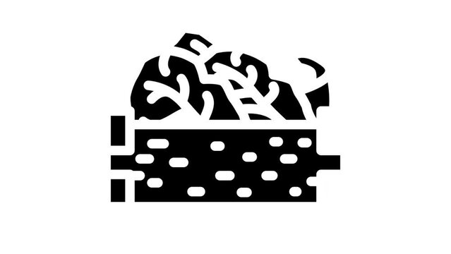 box lettuce glyph icon animation
