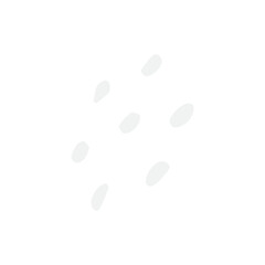 footprints on white background