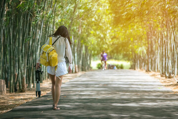 Back view of young woman with photo backpack and holding tripod walks alone to find photoshoot location in bamboo garden. Photographer female fun happy with walking travel nature in the bamboo forest.