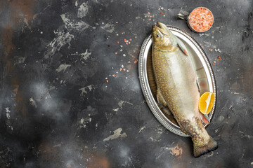 Raw arctic char fish. Culinary, cooking, bakery concept. Restaurant menu, dieting, cookbook recipe...