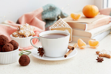 Mockup white Christmas cup. Aesthetic lifestyle - marshmallows cocoa, homemade ginger cookies in shape of cute home near books. Aesthetic female Christmas background