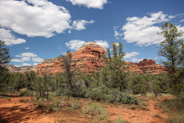 Falaises rouges à Sedona