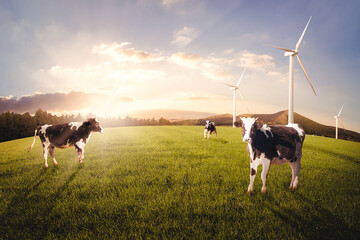 The sunset is setting on a dairy farm with wind turbines.