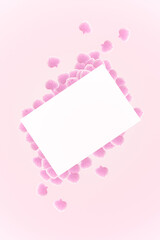 Many pink petals and white paper background.