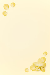 Yellow flowers and petal background.