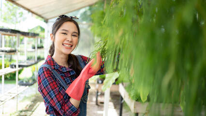 Young Asian beautiful woman gardener in apron cutting leaf care  fern houseplant in her flower...