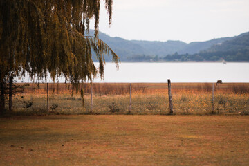 día de descanso en el campo junto al lago