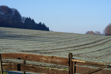 feld im Teutoburger Wald