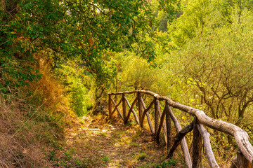 rustic trail in mountains with green grass and bushes, rural path to mountains in autumn