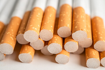 Cigarette, tobacco in roll paper with filter tube, No smoking concept.