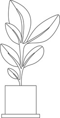 Plants in pots, drawing for coloring.