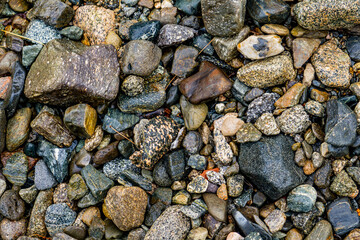 Pebbles on the shore