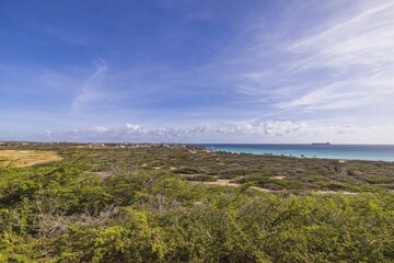 Fototapeta na wymiar Beautiful desert view of Aruba island landscape with tropical vegetation against backdrop of Atlantic ocean.