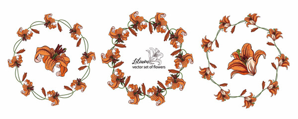 Floral wreaths from the flower buds of the Lily. Orange Lily. 1