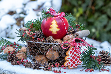 Apfel mit Tannenbaum-Motiv im Korb mit Zapfen und Walnüssen als Weihnachtsdekoration