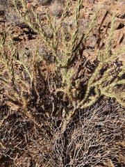 landscape of Mountains and lakes
