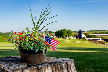 An American flag and a pot of flowers on a stump near Kieler, Wisconsin
