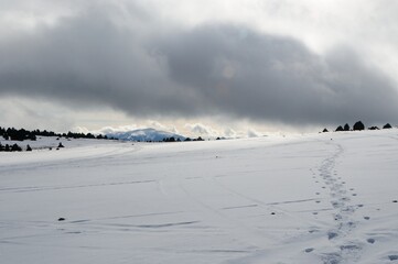 Snow field 01
