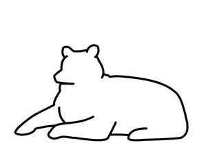 Bear outline icon