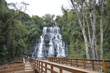 waterfall (Aguas de Santa Barbara / São Paulo / Brasil)