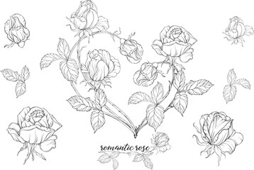 Vector set of flower compositions with rose flowers.Heart of flowers.