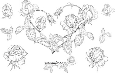 Vector set of flower compositions with rose flowers.Heart of flowers.